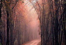 科斯塔斯·马诺拉斯,这位足坛铁卫有着怎样的职业生涯轨迹?